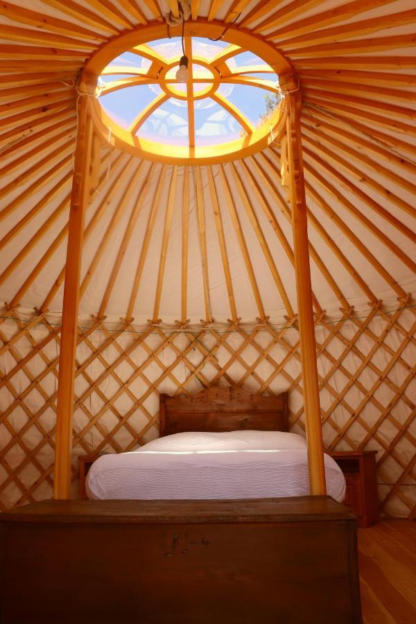 Hotel Glamping La Cascina D'Orleans Saint-Pierre Exterior foto